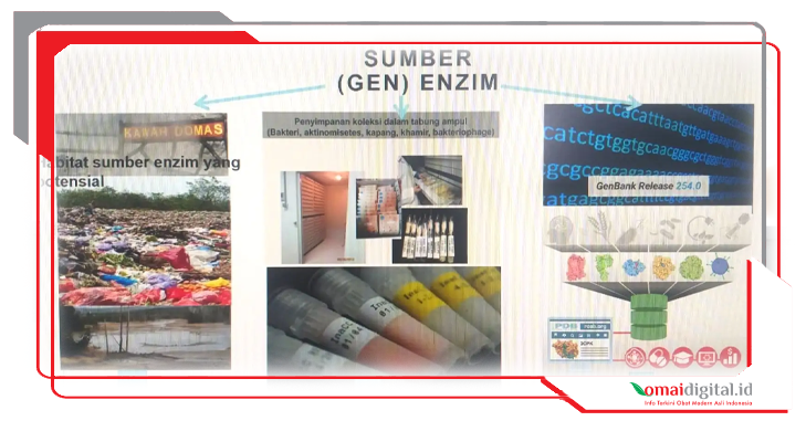 BRIN Teliti Ekstrak Daun Jamblang sebagai Kandidat Obat Anticovid BRIN Teliti Ekstrak Daun Jamblang sebagai Kandidat Obat Anticovid